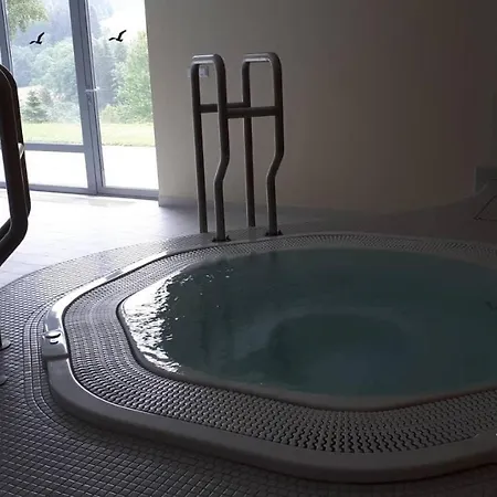 Apartment Wellness V Orlickych Horach *