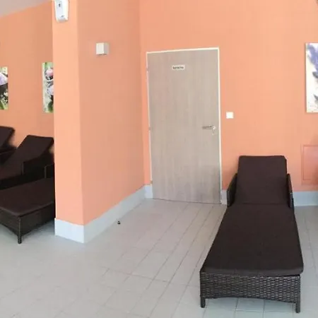 Wellness V Orlickych Horach Апартаменты Ржички