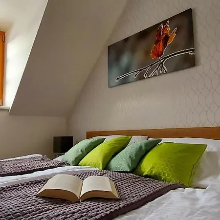 Wellness V Orlickych Horach Апартаменты Ржички