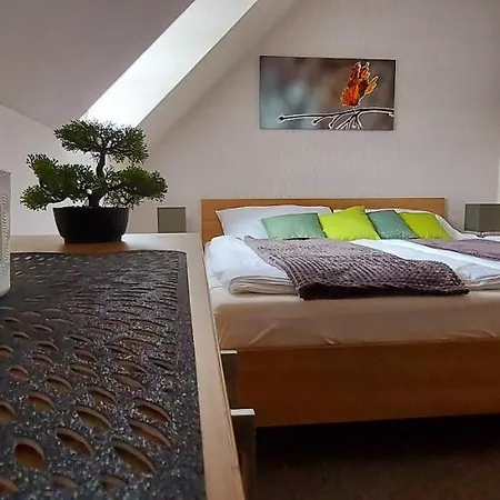 Апартаменты Wellness V Orlickych Horach *