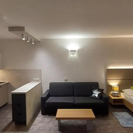 Wellness V Orlickych Horach Апартаменты Ржички