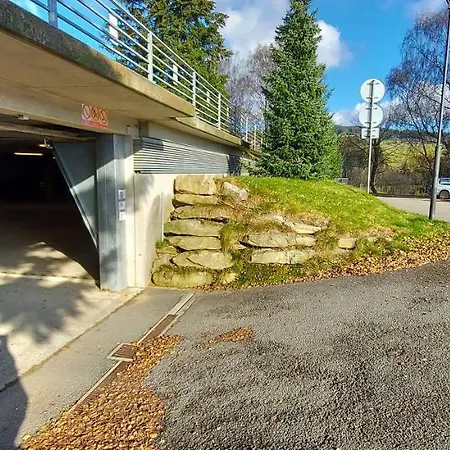 Apartment Wellness V Orlickych Horach Říčky