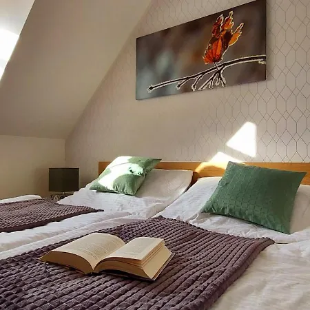 Wellness V Orlickych Horach Apartment *