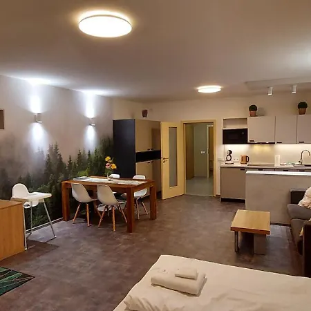 Апартаменты Wellness V Orlickych Horach Ржички