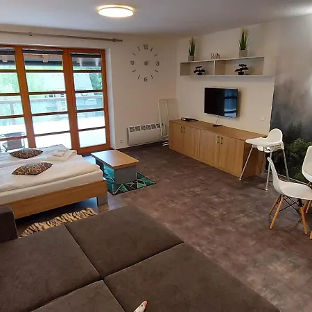 Wellness V Orlickych Horach Apartment *