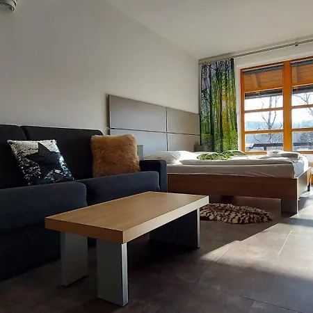 Apartment Wellness V Orlickych Horach