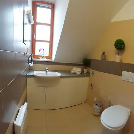 Apartment Wellness V Orlickych Horach *