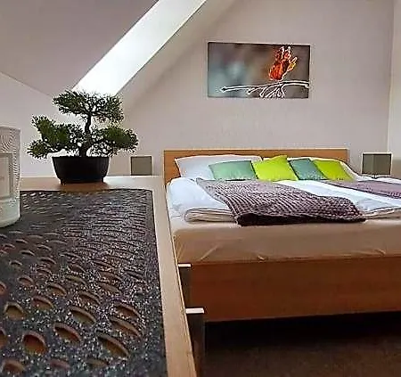 Wellness V Orlických Horách * Říčky