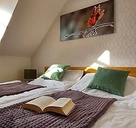 Wellness V Orlických Horách Apartamento Říčky