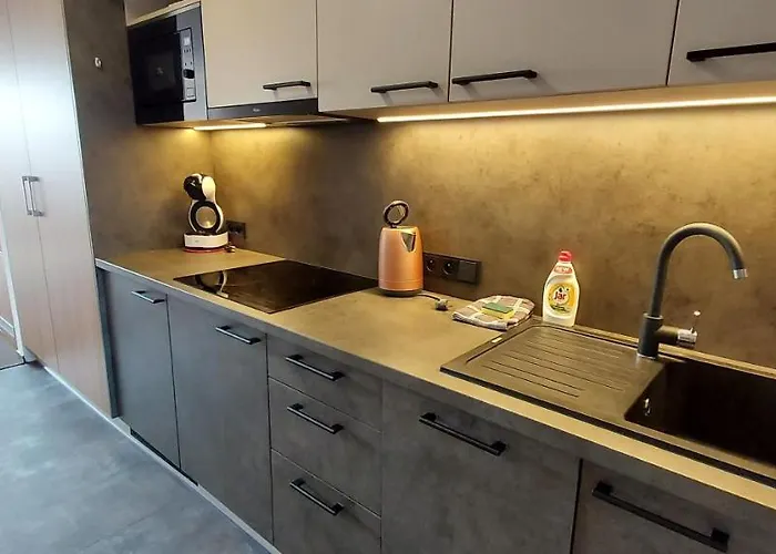 Wellness V Orlickych Horach Apartman