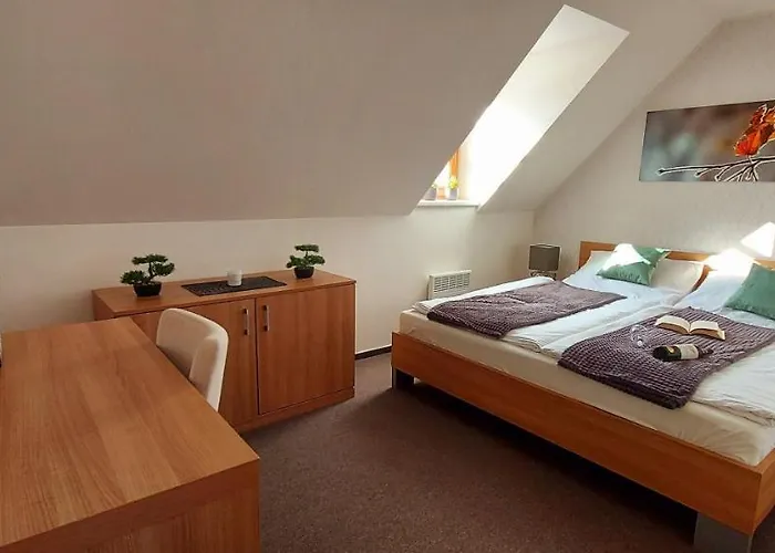 Apartman Wellness V Orlickych Horach Říčky