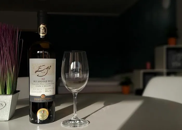 Apartman Wellness V Orlickych Horach Říčky