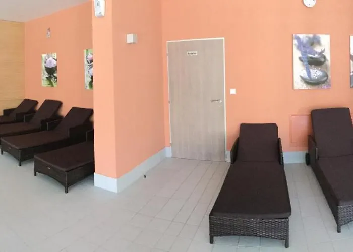 Wellness V Orlickych Horach Apartman Říčky