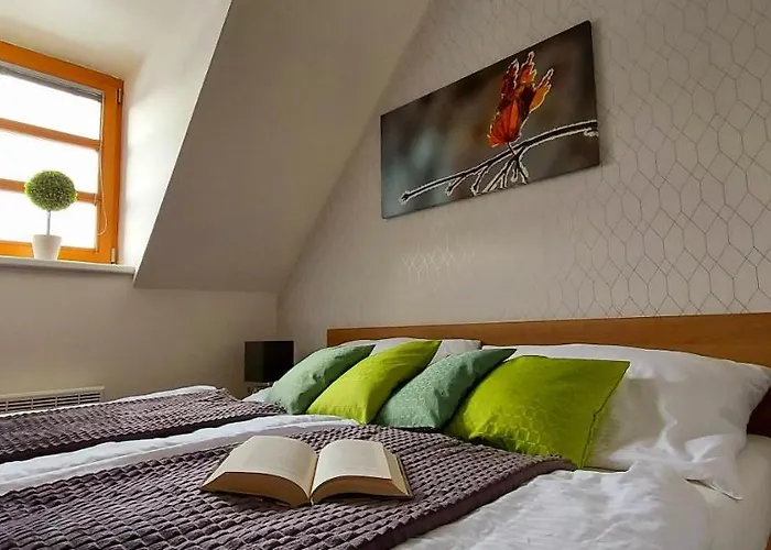 Wellness V Orlickych Horach Apartman Říčky