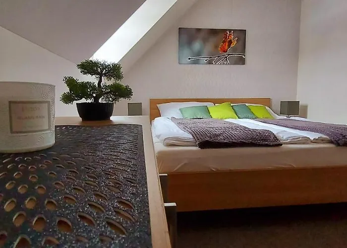Apartman Wellness V Orlickych Horach *