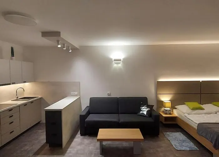 Wellness V Orlickych Horach Apartman Říčky