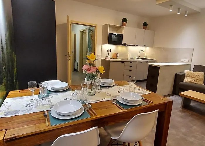 Wellness V Orlickych Horach Apartman Říčky