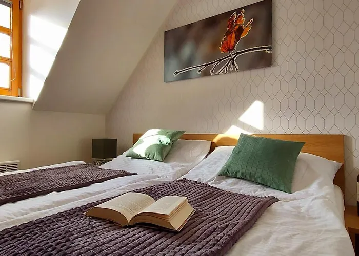 Wellness V Orlickych Horach Apartman *