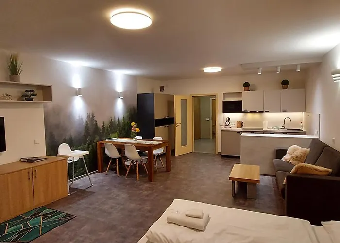 Apartman Wellness V Orlickych Horach Říčky