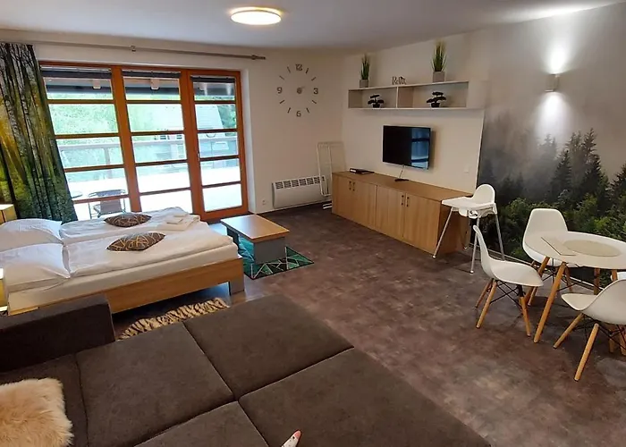 Wellness V Orlickych Horach Apartman *