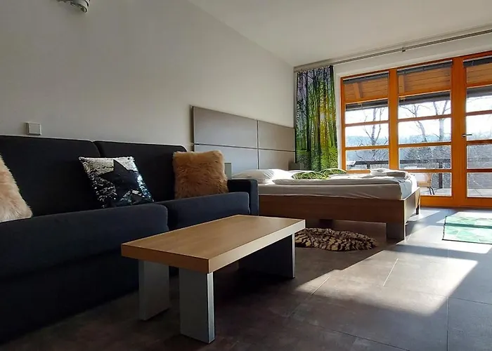Apartman Wellness V Orlickych Horach