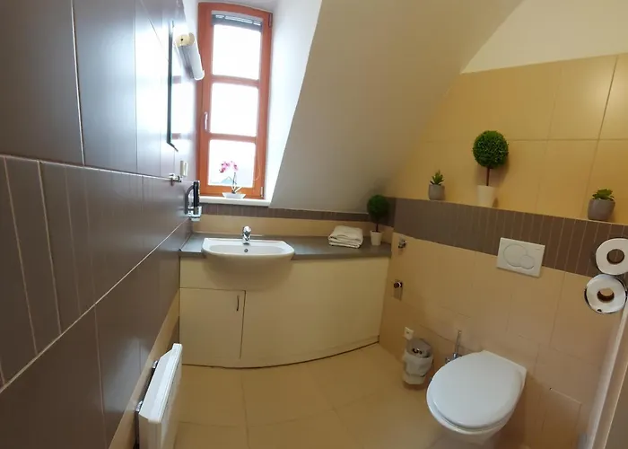 Apartman Wellness V Orlickych Horach *